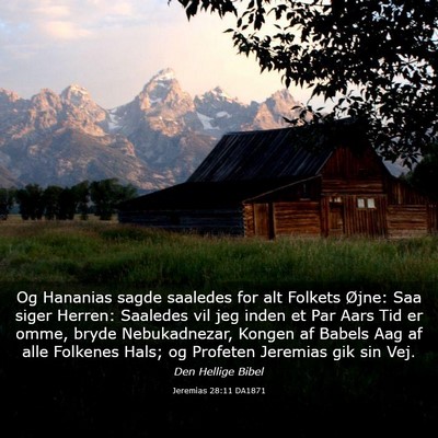 Picture 03 - Jeremias 28:11 DA1871 - Og Hananias sagde saaledes for alt Folkets Øjne: - Bible Verse Picture