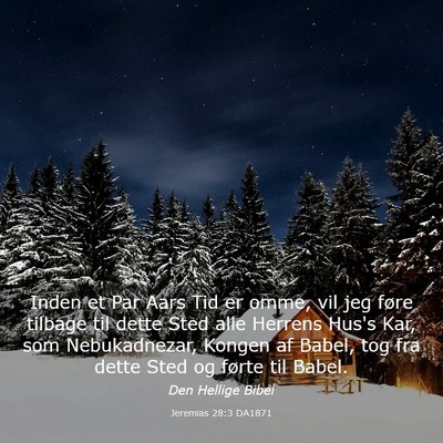 Picture 03 - Jeremias 28:3 DA1871 - Inden et Par Aars Tid er omme, vil jeg føre - Bible Verse Picture