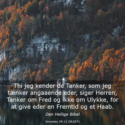 Picture 03 - Jeremias 29:11 DA1871 - Thi jeg kender de Tanker, som jeg tænker - Bible Verse Picture