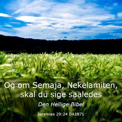 Picture 03 - Jeremias 29:24 DA1871 - Og om Semaja, Nekelamiten, skal du sige - Bible Verse Picture