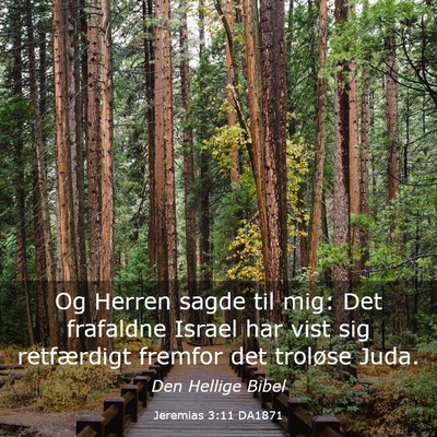 Picture 03 - Jeremias 3:11 DA1871 - Og Herren sagde til mig: Det frafaldne Israel har - Bible Verse Picture