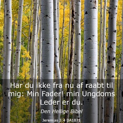 Picture 03 - Jeremias 3:4 DA1871 - Har du ikke fra nu af raabt til mig: Min Fader! - Bible Verse Picture