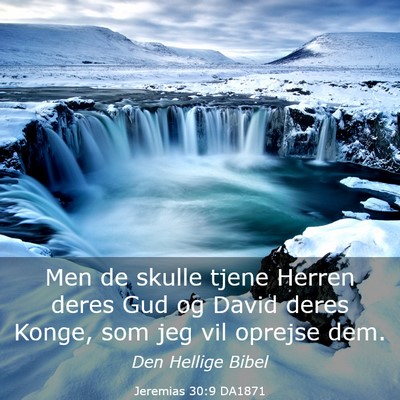Picture 03 - Jeremias 30:9 DA1871 - Men de skulle tjene Herren deres Gud og David - Bible Verse Picture