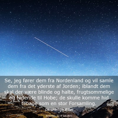 Picture 03 - Jeremias 31:8 DA1871 - Se, jeg fører dem fra Nordenland og vil samle - Bible Verse Picture