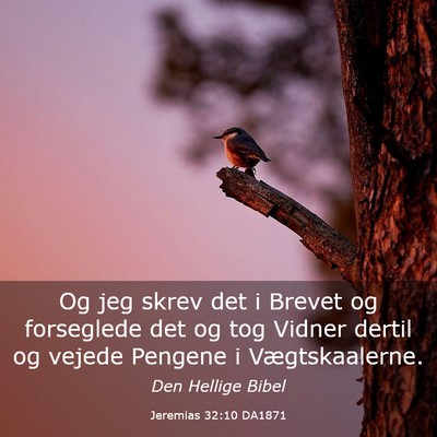 Picture 03 - Jeremias 32:10 DA1871 - Og jeg skrev det i Brevet og forseglede det og - Bible Verse Picture