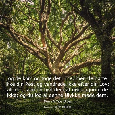 Picture 03 - Jeremias 32:23 DA1871 - og de kom og toge det i Eje, men de hørte ikke - Bible Verse Picture