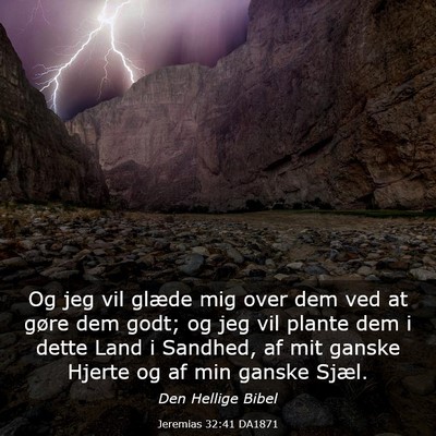 Picture 03 - Jeremias 32:41 DA1871 - Og jeg vil glæde mig over dem ved at gøre dem - Bible Verse Picture