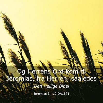 Picture 03 - Jeremias 34:12 DA1871 - Og Herrens Ord kom til Jeremias, fra Herren, - Bible Verse Picture