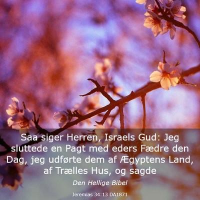 Picture 03 - Jeremias 34:13 DA1871 - Saa siger Herren, Israels Gud: Jeg sluttede en - Bible Verse Picture