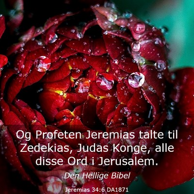 Picture 03 - Jeremias 34:6 DA1871 - Og Profeten Jeremias talte til Zedekias, Judas - Bible Verse Picture