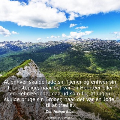 Picture 03 - Jeremias 34:9 DA1871 - At enhver skulde lade sin Tjener og enhver sin - Bible Verse Picture