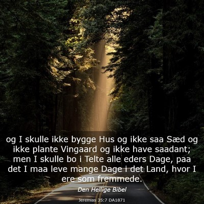Picture 03 - Jeremias 35:7 DA1871 - og I skulle ikke bygge Hus og ikke saa Sæd og - Bible Verse Picture