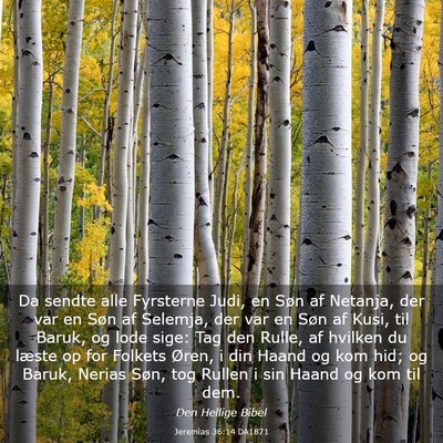 Picture 03 - Jeremias 36:14 DA1871 - Da sendte alle Fyrsterne Judi, en Søn af - Bible Verse Picture