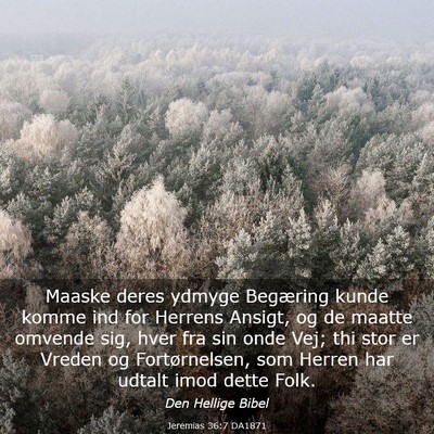 Picture 03 - Jeremias 36:7 DA1871 - Maaske deres ydmyge Begæring kunde komme ind for - Bible Verse Picture
