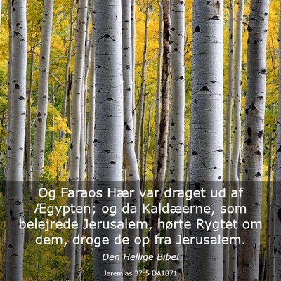 Picture 03 - Jeremias 37:5 DA1871 - Og Faraos Hær var draget ud af Ægypten; og da - Bible Verse Picture