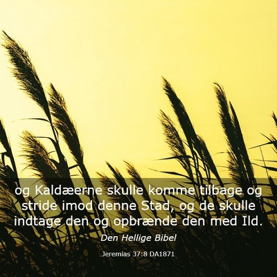 Picture 03 - Jeremias 37:8 DA1871 - og Kaldæerne skulle komme tilbage og stride imod - Bible Verse Picture