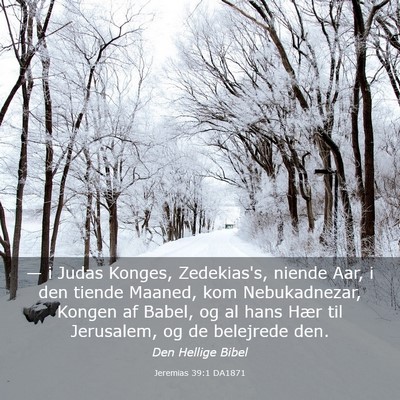 Picture 03 - Jeremias 39:1 DA1871 - — i Judas Konges, Zedekias's, niende Aar, i den - Bible Verse Picture