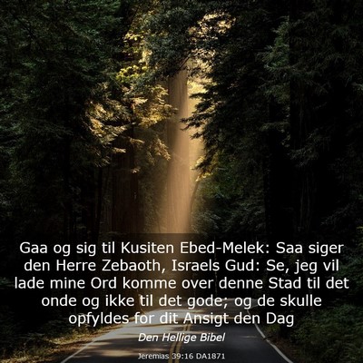 Picture 03 - Jeremias 39:16 DA1871 - Gaa og sig til Kusiten Ebed-Melek: Saa siger den - Bible Verse Picture
