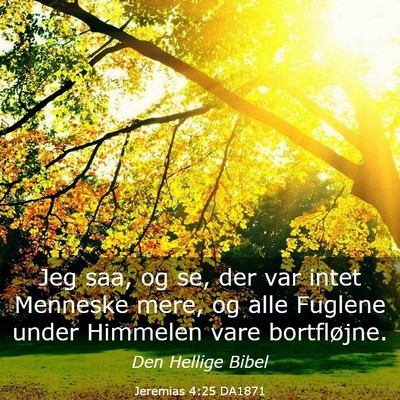 Picture 03 - Jeremias 4:25 DA1871 - Jeg saa, og se, der var intet Menneske mere, og - Bible Verse Picture