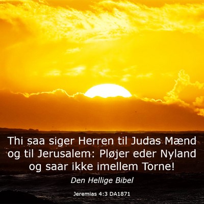 Picture 03 - Jeremias 4:3 DA1871 - Thi saa siger Herren til Judas Mænd og til - Bible Verse Picture