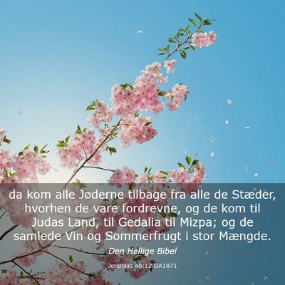 Picture 03 - Jeremias 40:12 DA1871 - da kom alle Jøderne tilbage fra alle de Stæder, - Bible Verse Picture
