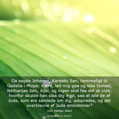 Picture 03 - Jeremias 40:15 DA1871 - Da sagde Johanan, Kareaks Søn, hemmeligt til - Bible Verse Picture