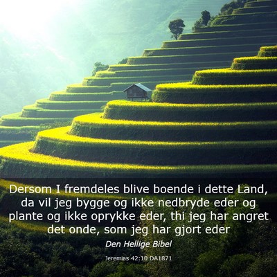 Picture 03 - Jeremias 42:10 DA1871 - Dersom I fremdeles blive boende i dette Land, da - Bible Verse Picture