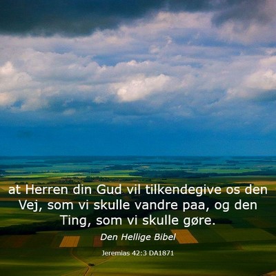 Picture 03 - Jeremias 42:3 DA1871 - at Herren din Gud vil tilkendegive os den Vej, - Bible Verse Picture