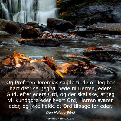 Picture 03 - Jeremias 42:4 DA1871 - Og Profeten Jeremias sagde til dem: Jeg har hørt - Bible Verse Picture