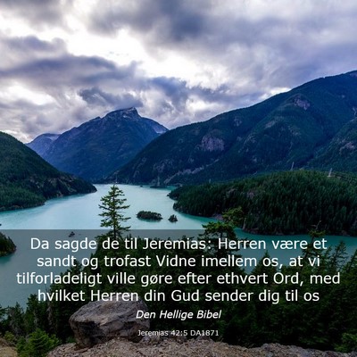 Picture 03 - Jeremias 42:5 DA1871 - Da sagde de til Jeremias: Herren være et sandt - Bible Verse Picture