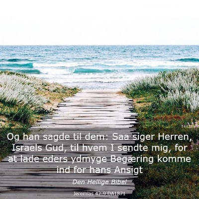 Picture 03 - Jeremias 42:9 DA1871 - Og han sagde til dem: Saa siger Herren, Israels - Bible Verse Picture