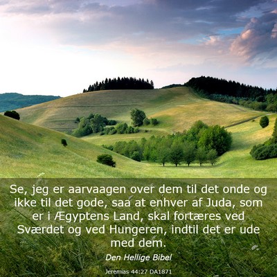 Picture 03 - Jeremias 44:27 DA1871 - Se, jeg er aarvaagen over dem til det onde og - Bible Verse Picture