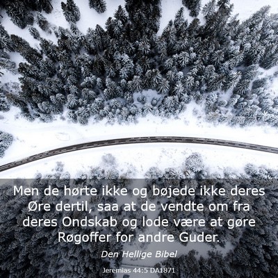 Picture 03 - Jeremias 44:5 DA1871 - Men de hørte ikke og bøjede ikke deres Øre - Bible Verse Picture
