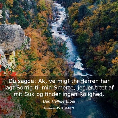 Picture 03 - Jeremias 45:3 DA1871 - Du sagde: Ak, ve mig! thi Herren har lagt Sorrig - Bible Verse Picture