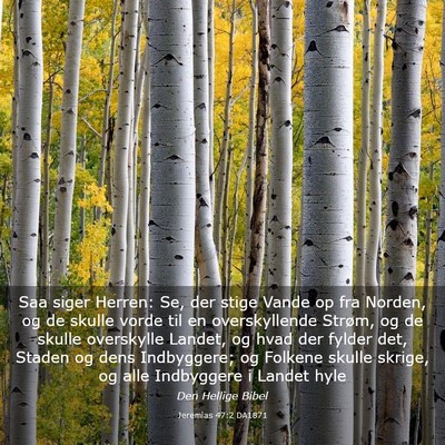 Picture 03 - Jeremias 47:2 DA1871 - Saa siger Herren: Se, der stige Vande op fra - Bible Verse Picture