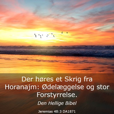 Picture 03 - Jeremias 48:3 DA1871 - Der høres et Skrig fra Horanajm: Ødelæggelse - Bible Verse Picture
