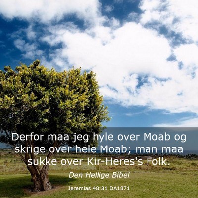 Picture 03 - Jeremias 48:31 DA1871 - Derfor maa jeg hyle over Moab og skrige over hele - Bible Verse Picture