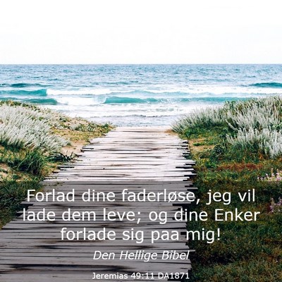Picture 03 - Jeremias 49:11 DA1871 - Forlad dine faderløse, jeg vil lade dem leve; og - Bible Verse Picture
