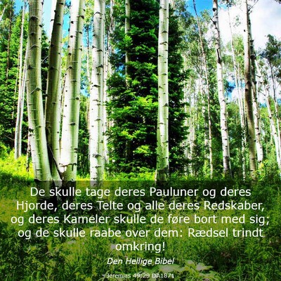 Picture 03 - Jeremias 49:29 DA1871 - De skulle tage deres Pauluner og deres Hjorde, - Bible Verse Picture