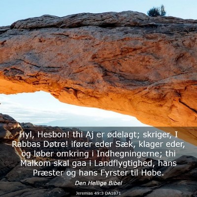 Picture 03 - Jeremias 49:3 DA1871 - Hyl, Hesbon! thi Aj er ødelagt; skriger, I - Bible Verse Picture