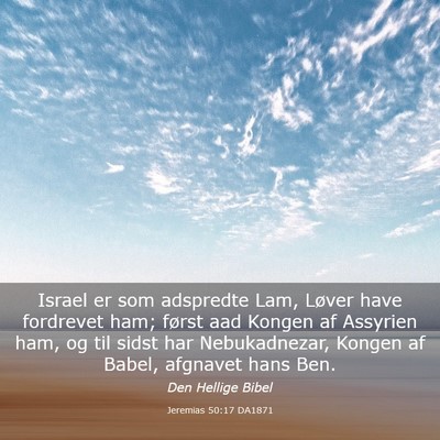 Picture 03 - Jeremias 50:17 DA1871 - Israel er som adspredte Lam, Løver have - Bible Verse Picture