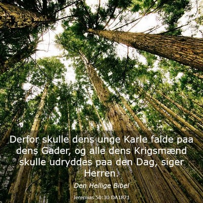 Picture 03 - Jeremias 50:30 DA1871 - Derfor skulle dens unge Karle falde paa dens - Bible Verse Picture