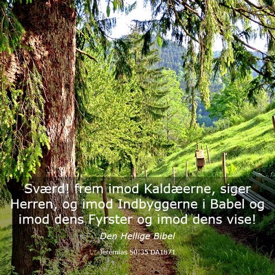 Picture 03 - Jeremias 50:35 DA1871 - Sværd! frem imod Kaldæerne, siger Herren, og - Bible Verse Picture