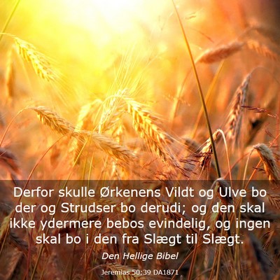 Picture 03 - Jeremias 50:39 DA1871 - Derfor skulle Ørkenens Vildt og Ulve bo der og - Bible Verse Picture
