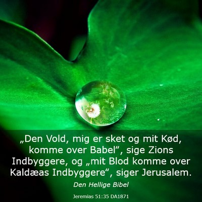 Picture 03 - Jeremias 51:35 DA1871 - „Den Vold, mig er sket og mit Kød, komme over - Bible Verse Picture