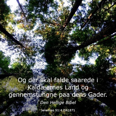 Picture 03 - Jeremias 51:4 DA1871 - Og der skal falde saarede i Kaldæernes Land og - Bible Verse Picture