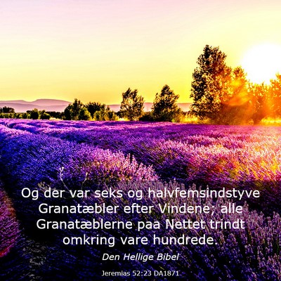 Picture 03 - Jeremias 52:23 DA1871 - Og der var seks og halvfemsindstyve Granatæbler - Bible Verse Picture