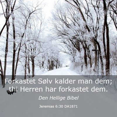 Picture 03 - Jeremias 6:30 DA1871 - Forkastet Sølv kalder man dem; thi Herren har - Bible Verse Picture
