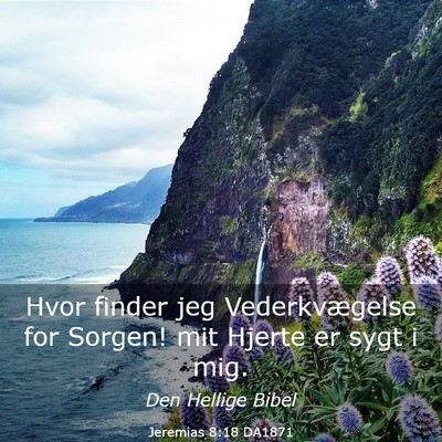 Picture 03 - Jeremias 8:18 DA1871 - Hvor finder jeg Vederkvægelse for Sorgen! mit - Bible Verse Picture