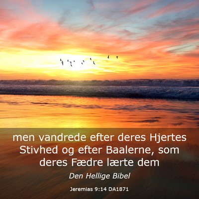 Picture 03 - Jeremias 9:14 DA1871 - men vandrede efter deres Hjertes Stivhed og efter - Bible Verse Picture